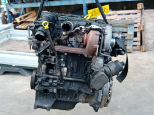Motore ford focus - motore,
