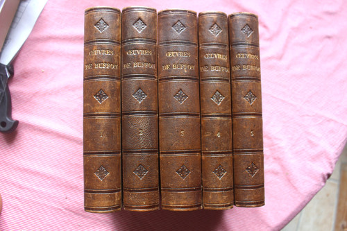 Oeuvres buffon 5 vol - oeuvres,