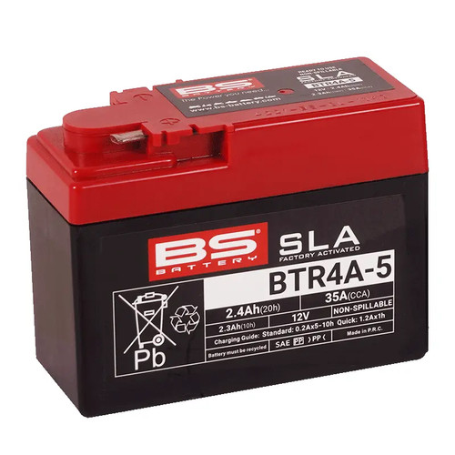 Battery 300667 batteria - bs,