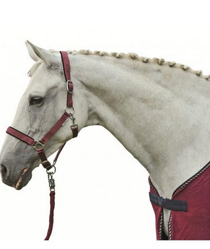 Capezza per cavalli nylon - capezza,