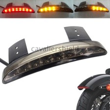Rear Fender Smoke LED Tail