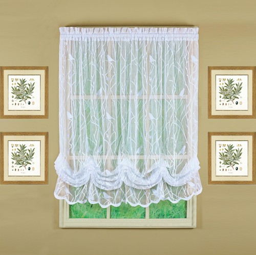 Today curtain songbird - curtain,,