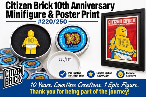 Poster citizen brick 2020 - poster, 10°
