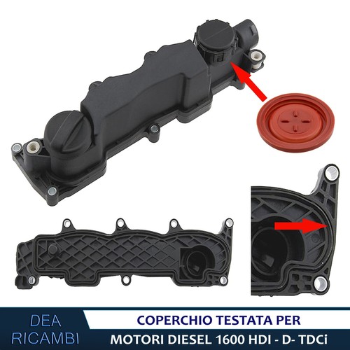 Coperchio testata motore - coperchio,