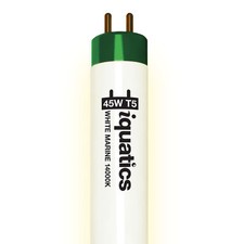 Lampadina fluorescente