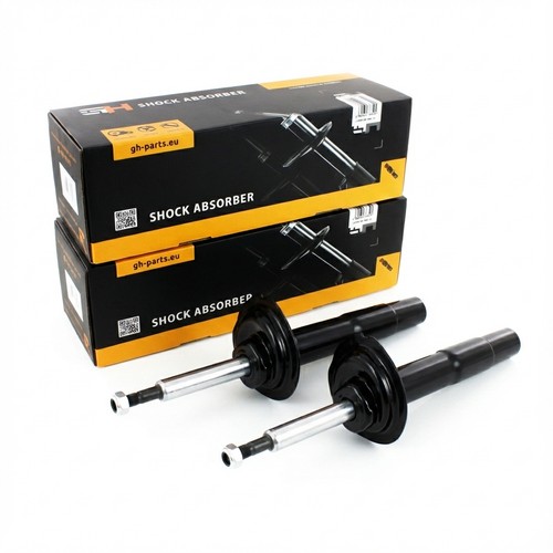 Coppia ammortizzatori gas - ammortizzatori, a