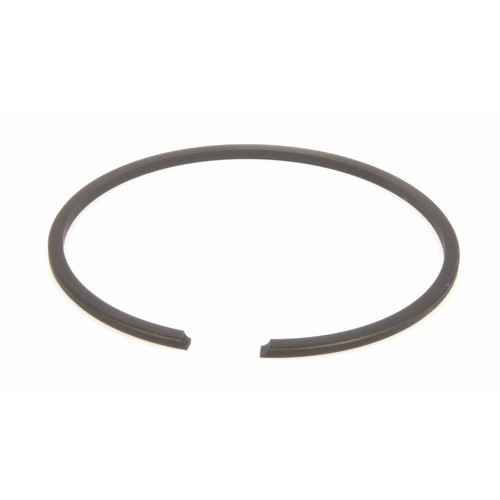 Segmento fascia elastica - segmento,
