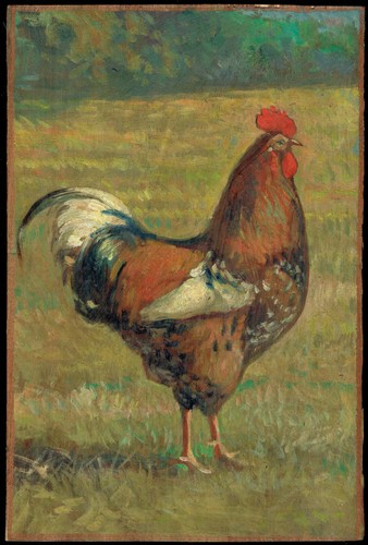 Dipinto olio gallo - dipinto,