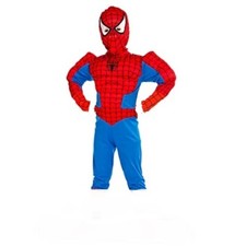 SPIDERMAN~MUSCLED