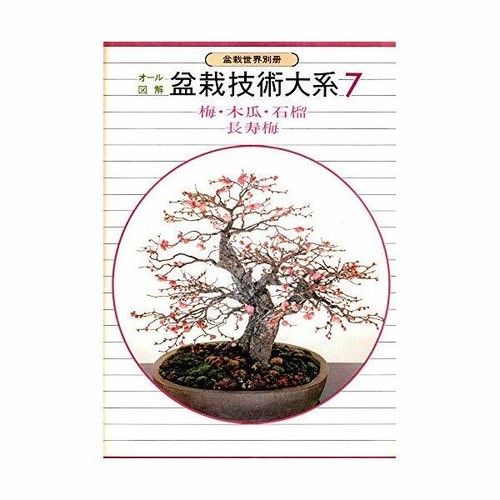 Bonsai technology birdman - bonsai,