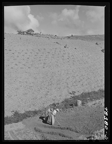 Caguas porto rico 1942 - porto,