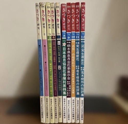 Satsuki kenkyu magazine - kenkyu, 10