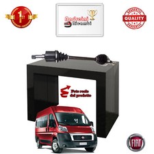 SEMIASSE ANTERIORE SINISTRA