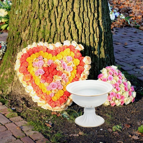 Contenitore per fiori - ,