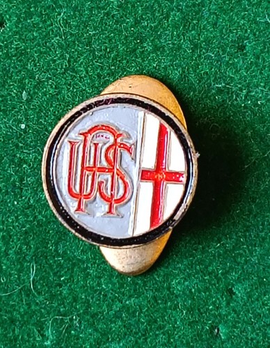 Alessandria distintivo calcio - distintivo,