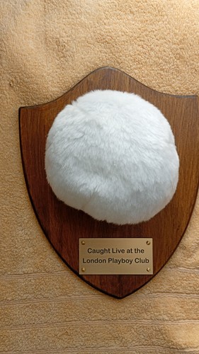 Playboy bunny costume tail - costume,