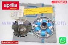 CM110306 SEMIPULEGGIA MOTRICE