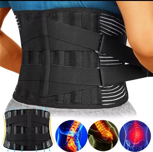 Fascia elastica lombare - fascia,