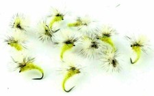 Indicatore giallo Poly