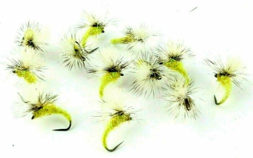 Indicatore giallo poly - giallo,