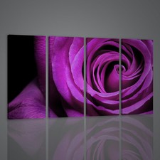 QUADRI MODERNI BLU ROSE QUADRO