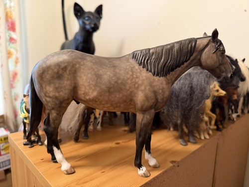 Arts model horse custom - ks,