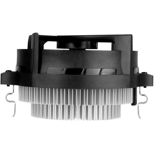 Arctic alpine amd compact - arctic,