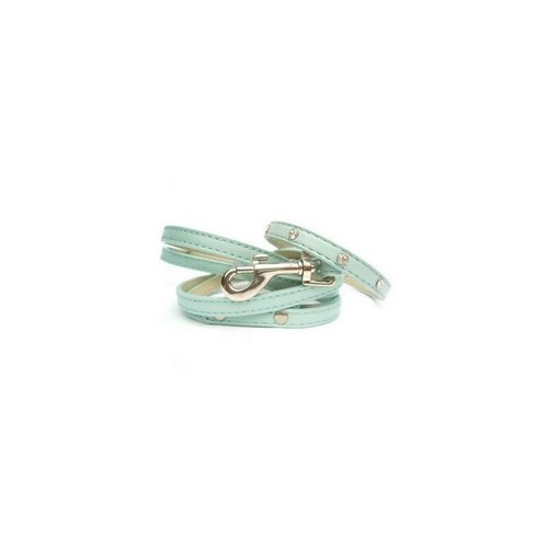 Set collare guinzaglio - collare,