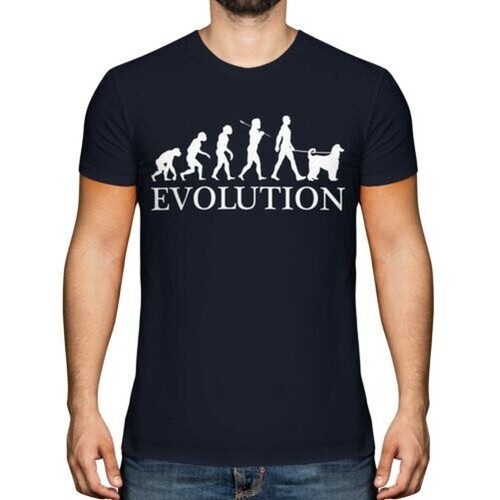 Levriero afgano evolution - afgano,