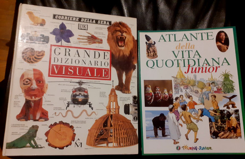 Libri grande dizionario - 2, libri: