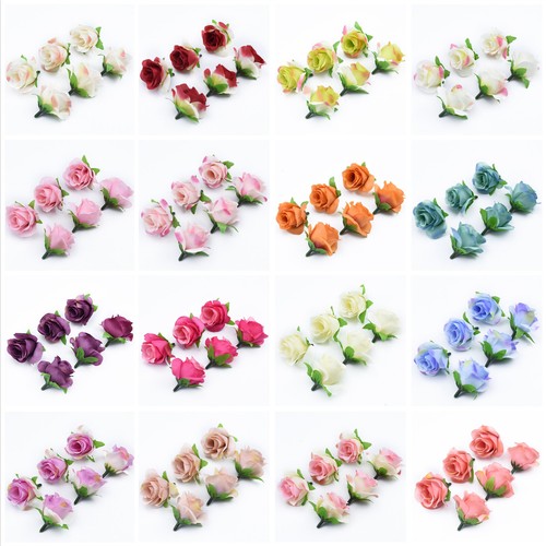20x seta rose teste - 20x,