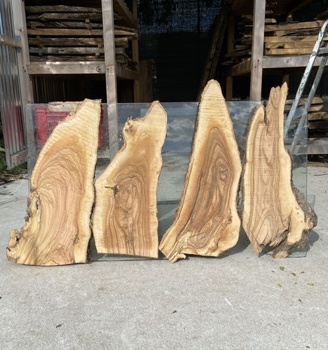 Tavole legno ulivo - di, 4