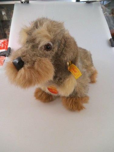 Steiff cane bassotto - , raudi
