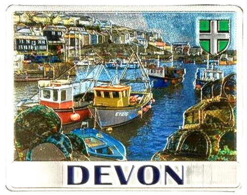Devon fridge magnet fishing - devon,