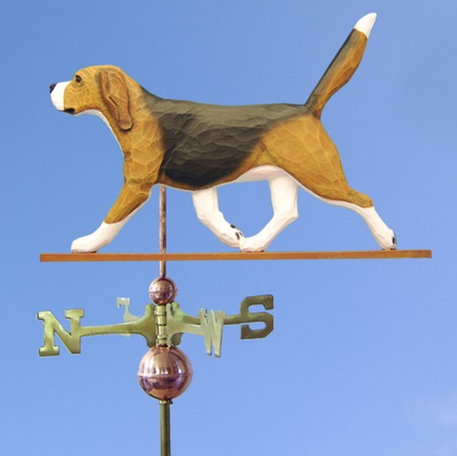 Beagle legno basswood - in,