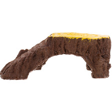  Accessori Rettili Per