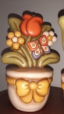 Vaso / Pianta Thun con