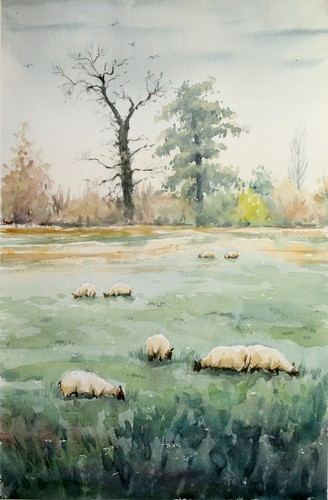Quadro acquerello originale