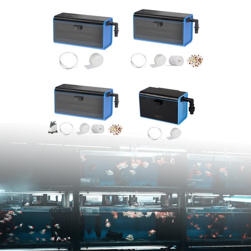 Scatola filtro per acquario