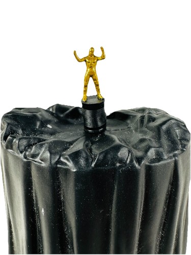 Wwe slammy award figure - slammy,