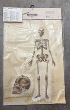 IL CORPO UMANO 3D TAVOLA