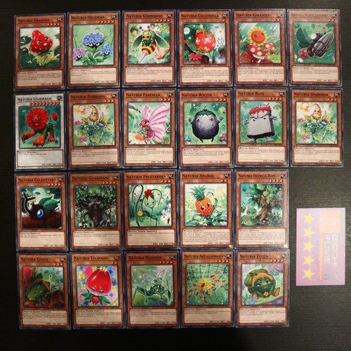 Lotto carte naturia - 22,