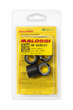 Rulli Variatore Malossi