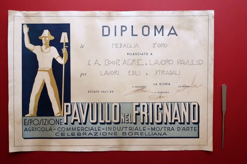 Grande diploma esposizione - grande,