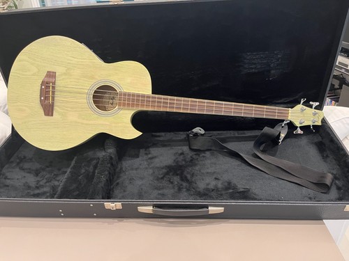Basso acustico elettrificato