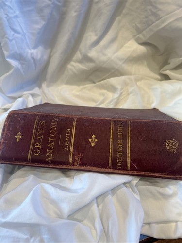 1918 gray anatomy warren - gray’s,