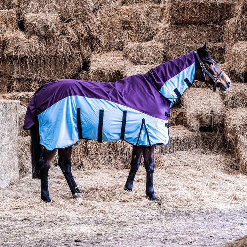 Tappeto cavallo rete affluenza