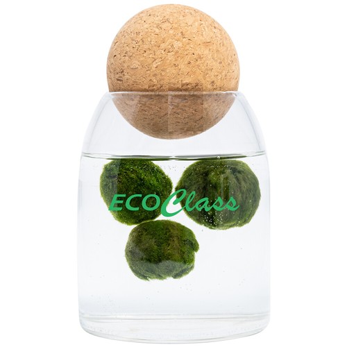 Marimo family in - marimo,