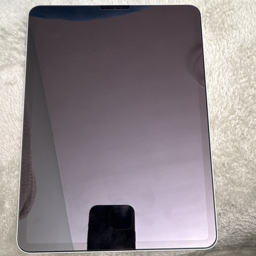 Apple ipad pro - 11, in