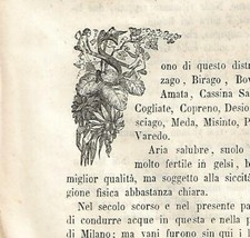 Stampa antica CAPOLETTERA S